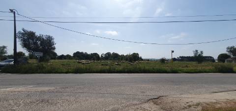 Terreno Gaveto com Estrada Nacional