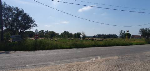 Terreno Gaveto com Estrada Nacional