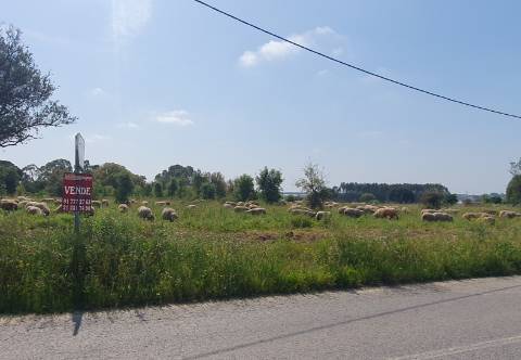 Terreno Gaveto com Estrada Nacional