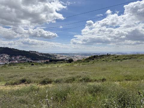 Lote de Terreno para Construção de Predio