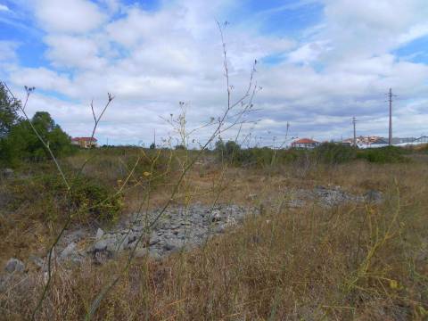 Terreno com 1460 m2,em Manique entre zona habitacional e industrial.