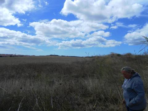 Terreno com 1460 m2,em Manique entre zona habitacional e industrial.