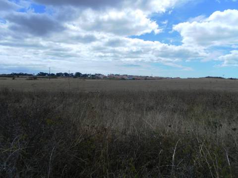 Terreno com 1460 m2,em Manique entre zona habitacional e industrial.