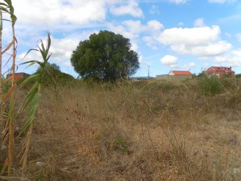 Terreno com 1460 m2,em Manique entre zona habitacional e industrial.