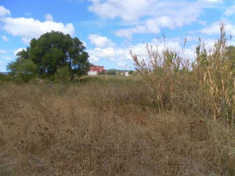 Terreno com 1460 m2,em Manique entre zona habitacional e industrial.