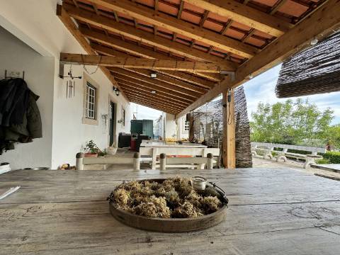 Moradia T3 (Rústica) - Santarém