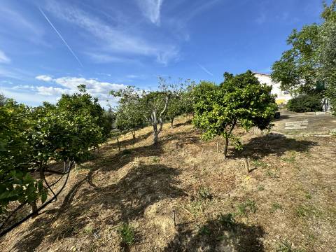 Moradia T3 (Rústica) - Santarém