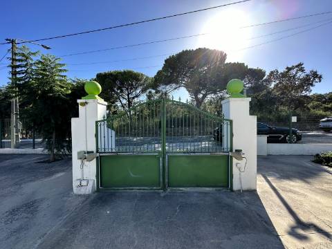 Moradia + Espaço comercial - Santarém