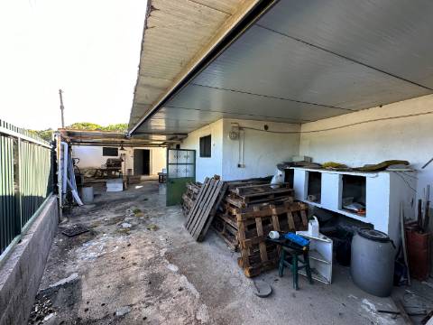 Moradia + Espaço comercial - Santarém