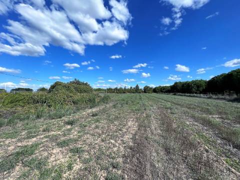 Moradia T4 - Santarém