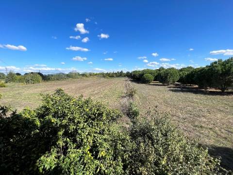 Moradia T4 - Santarém