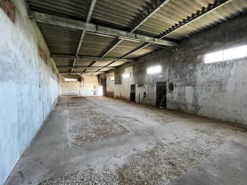 Armazém com terreno 4.100m² - S. Vicente do Paúl, Santarém