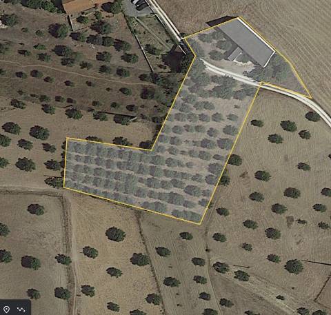 Armazém com terreno 4.100m² - S. Vicente do Paúl, Santarém