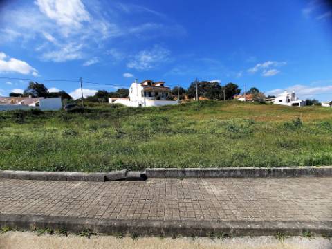 Lote terreno para construção - Chamusca