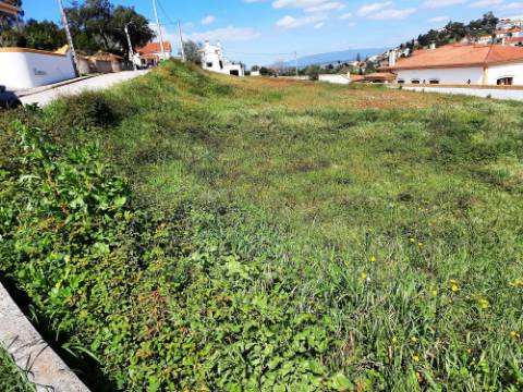 Lote terreno para construção - Chamusca