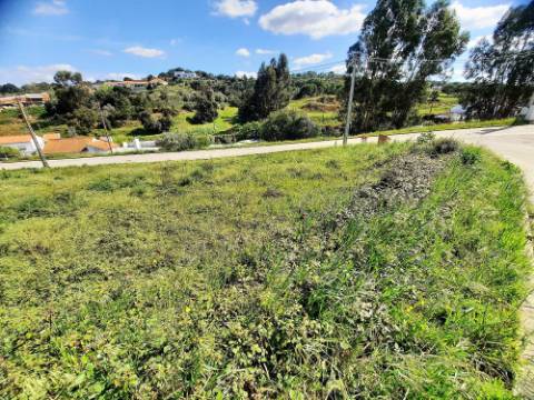 Lote terreno para construção - Chamusca