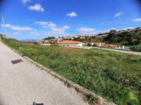 Lote terreno para construção - Chamusca