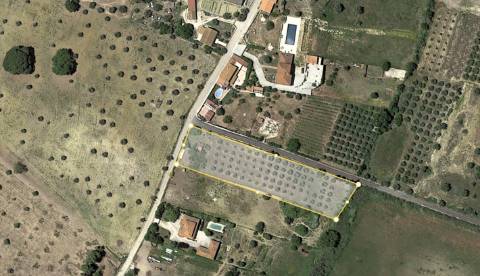 Moradia T2, terreno 4480m² com poço - Santarém