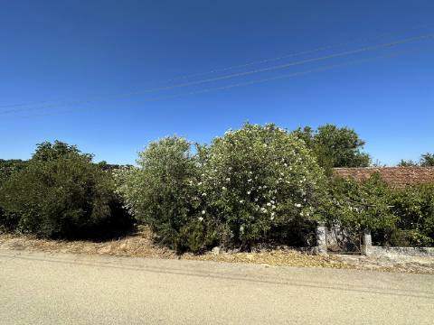 Moradia T2, terreno 4480m² com poço - Santarém