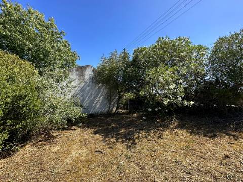 Moradia T2, terreno 4480m² com poço - Santarém