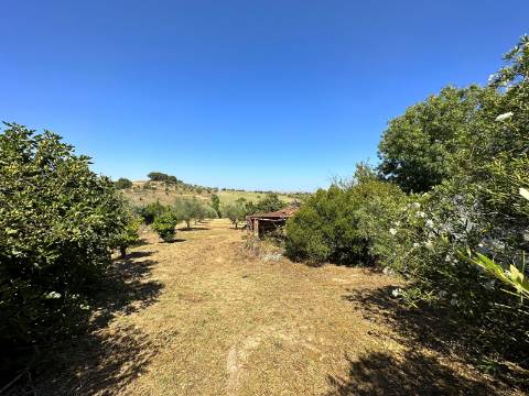 Moradia T2, terreno 4480m² com poço - Santarém