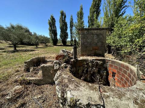 Moradia T2, terreno 4480m² com poço - Santarém