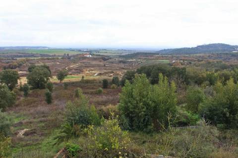 Quinta, terreno com área de 29.300m² - Santarém