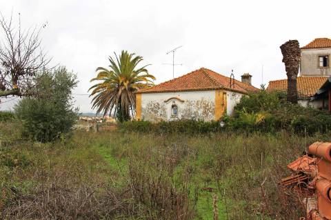 Quinta, terreno com área de 29.300m² - Santarém