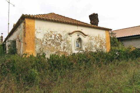 Quinta, terreno com área de 29.300m² - Santarém