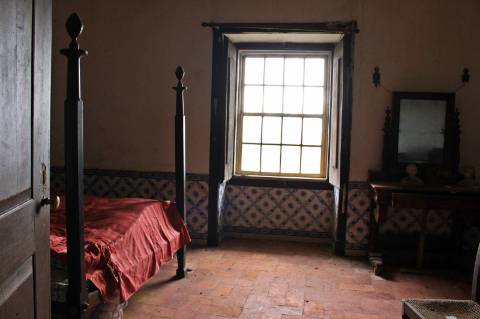 Quinta, terreno com área de 29.300m² - Santarém