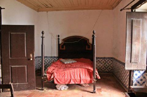 Quinta, terreno com área de 29.300m² - Santarém