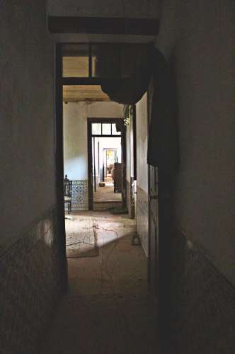 Quinta, terreno com área de 29.300m² - Santarém