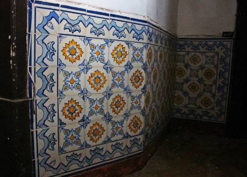 Quinta, terreno com área de 29.300m² - Santarém