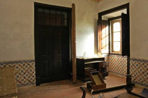 Quinta, terreno com área de 29.300m² - Santarém