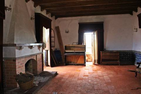 Quinta, terreno com área de 29.300m² - Santarém