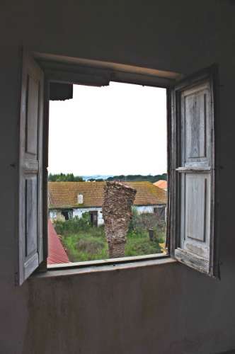 Quinta, terreno com área de 29.300m² - Santarém