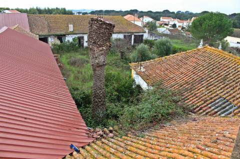 Quinta, terreno com área de 29.300m² - Santarém