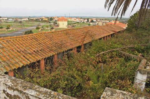 Quinta, terreno com área de 29.300m² - Santarém