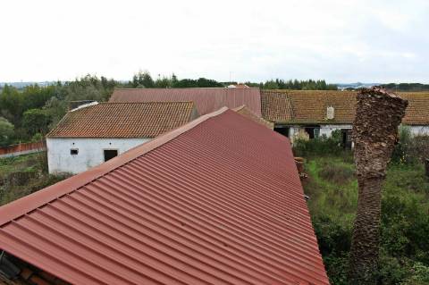 Quinta, terreno com área de 29.300m² - Santarém