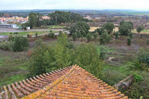 Quinta, terreno com área de 29.300m² - Santarém