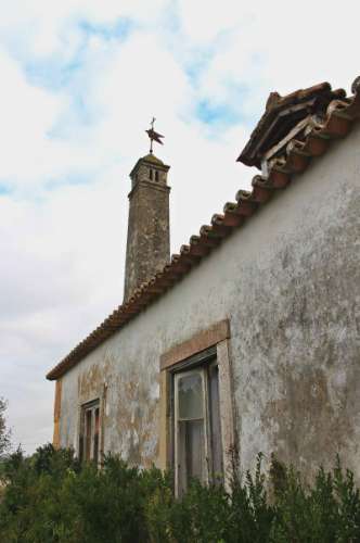 Quinta, terreno com área de 29.300m² - Santarém