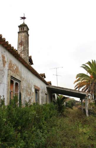 Quinta, terreno com área de 29.300m² - Santarém