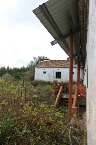 Quinta, terreno com área de 29.300m² - Santarém