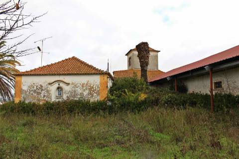 Quinta, terreno com área de 29.300m² - Santarém