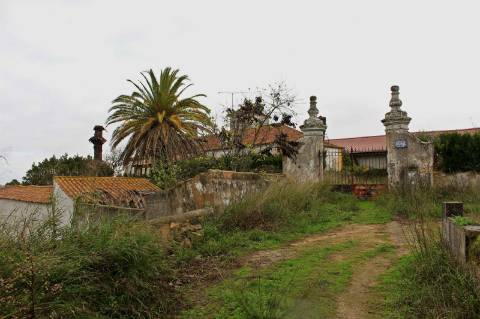 Quinta, terreno com área de 29.300m² - Santarém