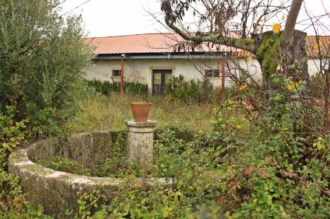 Quinta, terreno com área de 29.300m² - Santarém