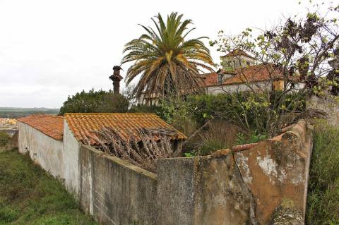 Quinta, terreno com área de 29.300m² - Santarém