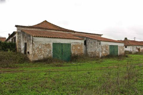 Quinta, terreno com área de 29.300m² - Santarém