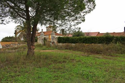 Quinta, terreno com área de 29.300m² - Santarém