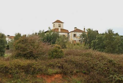 Quinta, terreno com área de 29.300m² - Santarém